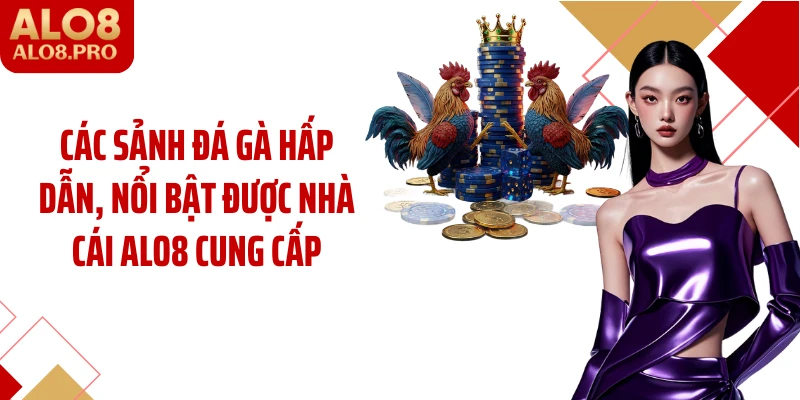 Các sảnh đá gà hấp dẫn, nổi bật được nhà cái ALO8 cung cấp