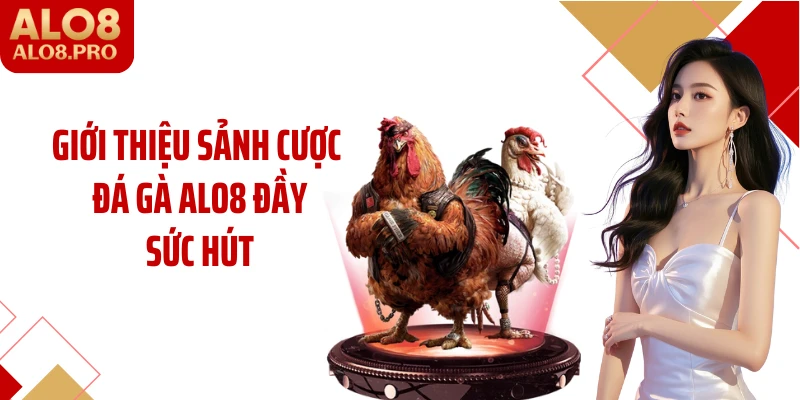 Giới thiệu sảnh cược đá gà ALO8 đầy sức hút