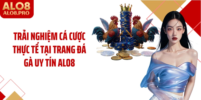 Trải nghiệm cá cược thực tế tại trang đá gà uy tín ALO8