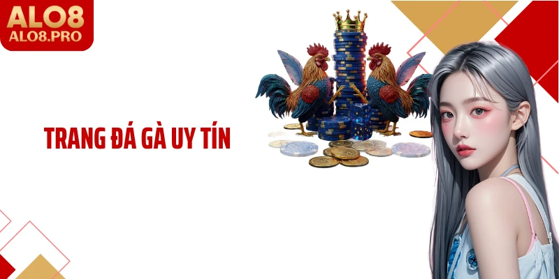 Trang Đá Gà Uy Tín ALO8: Trải Nghiệm Đặt Cược Chọi Kê Đẳng Cấp